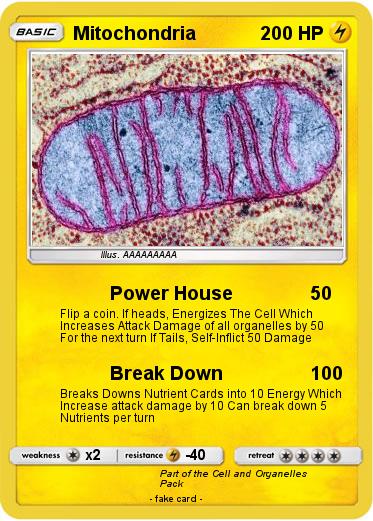 Pokemon Mitochondria
