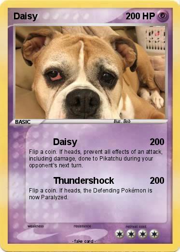 Pokemon Daisy