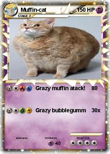 Pokemon Muffin-cat