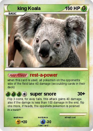 Pokemon king Koala