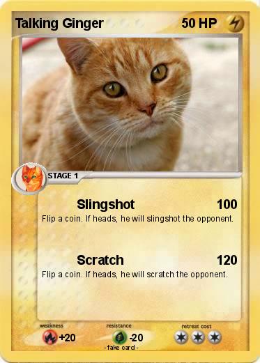 Pokemon Talking Ginger