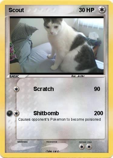 Pokemon Scout