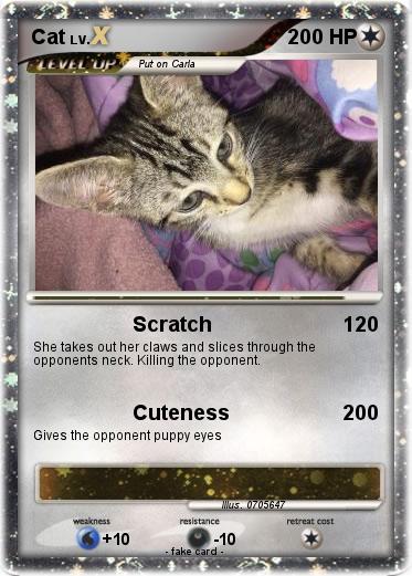 Pokemon Cat