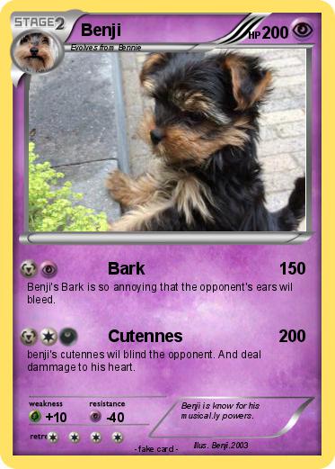 Pokemon Benji