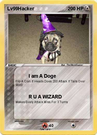 Pokemon Lv99Hacker