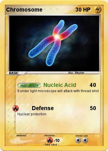 Pokemon Chromosome