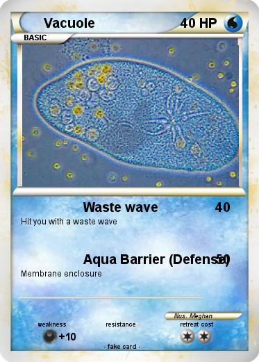 Pokemon Vacuole