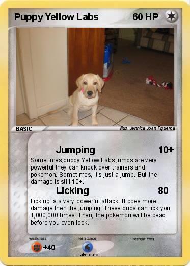 Pokemon Puppy Yellow Labs