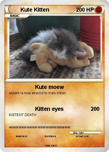 Pokemon Kute Kitten