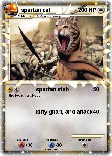 Pokemon spartan cat