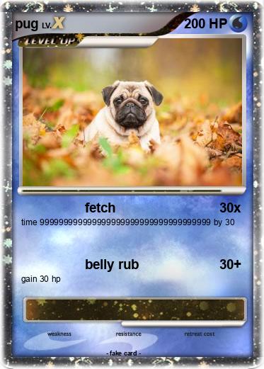 Pokemon pug