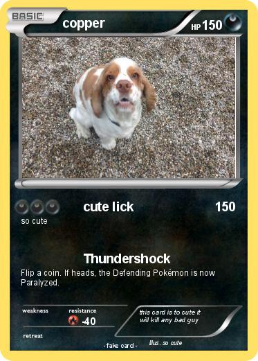 Pokemon copper