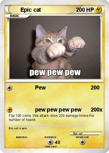 Pokemon Epic cat