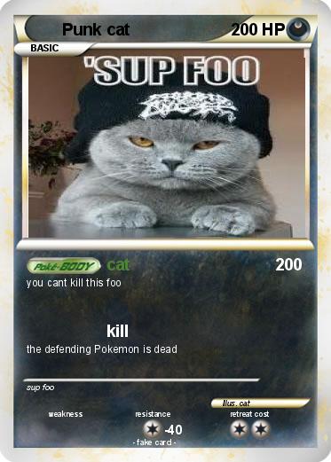 Pokemon Punk cat