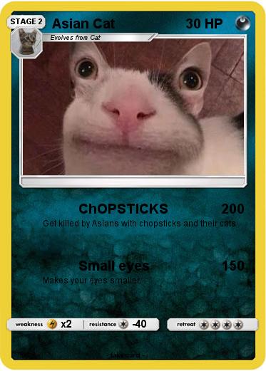 Pokemon Asian Cat