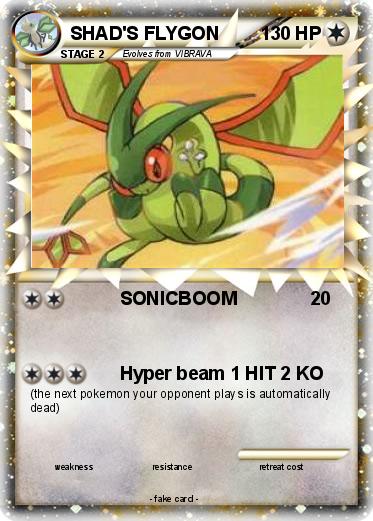 Pokemon SHAD'S FLYGON
