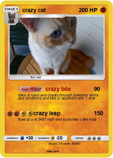 Pokemon crazy cat