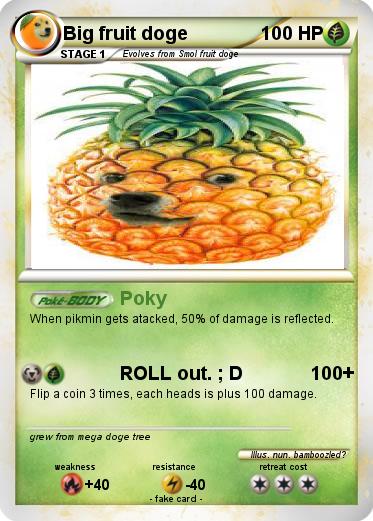 Pokemon Big fruit doge