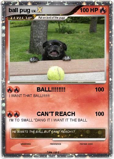 Pokemon ball pug