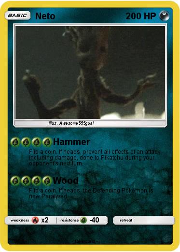 Pokemon Neto