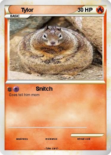Pokemon Tylor