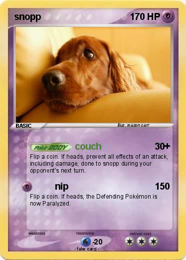 Pokemon snopp