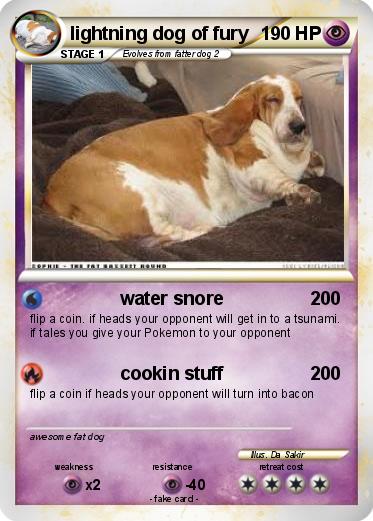Pokemon lightning dog of fury
