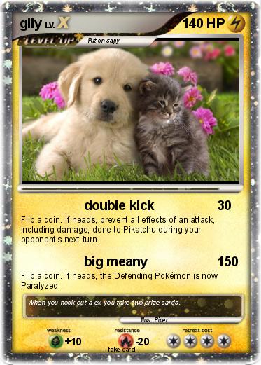 Pokemon gily