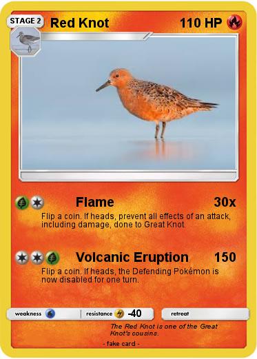 Pokemon Red Knot