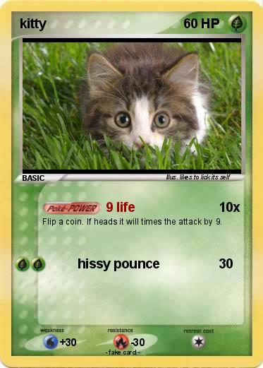 Pokemon kitty