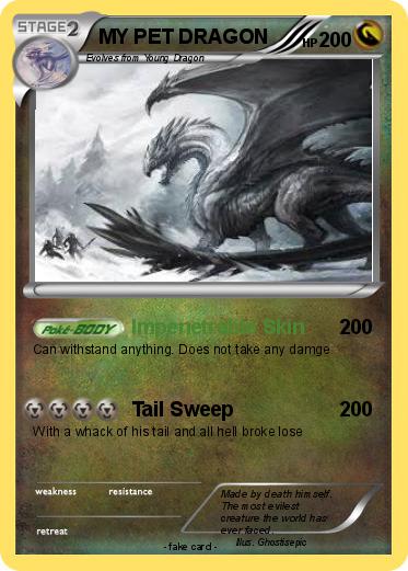 Pokemon MY PET DRAGON