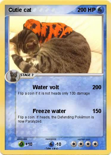 Pokemon Cutie cat