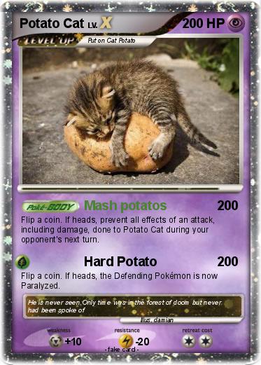 Pokemon Potato Cat