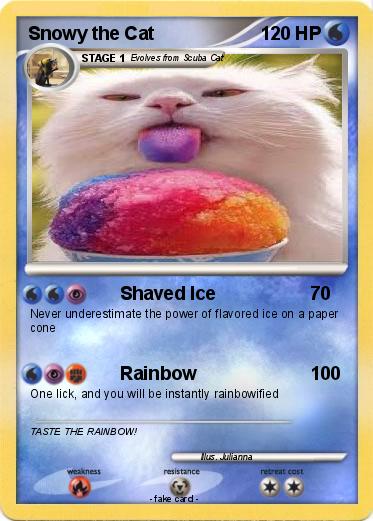 Pokemon Snowy the Cat
