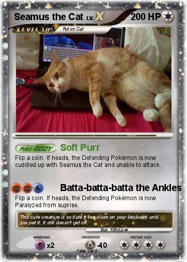Pokemon Seamus the Cat