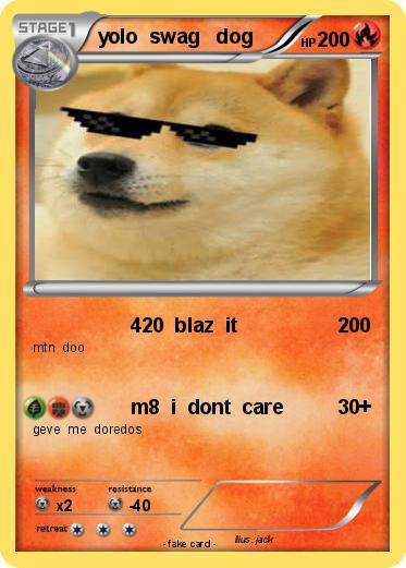 Pokemon yolo  swag   dog