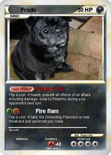 Pokemon Frodo