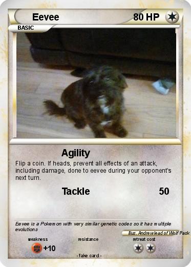Pokemon Eevee
