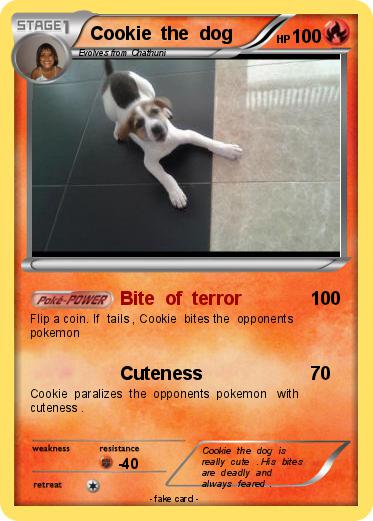 Pokemon Cookie  the  dog