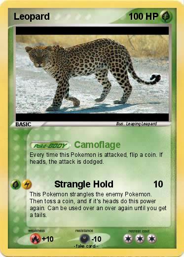 Pokemon Leopard