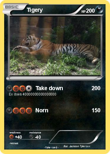 Pokemon Tigery