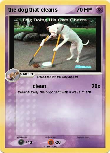 Pokemon the dog that cleans