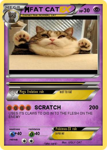Pokemon FAT CAT