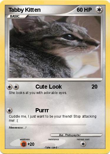 Pokemon Tabby Kitten