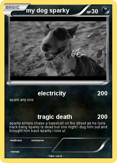 Pokemon my dog sparky