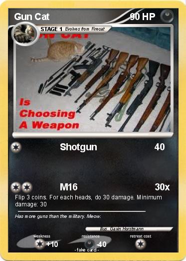 Pokemon Gun Cat