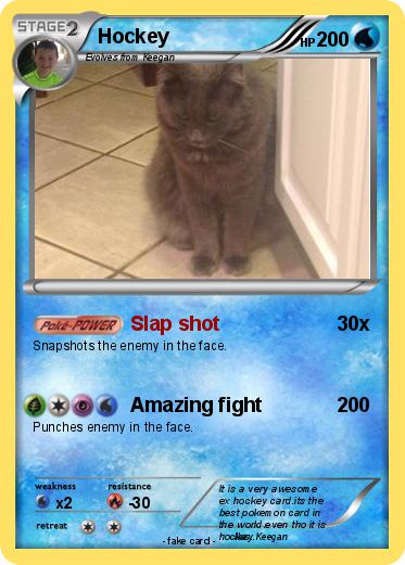 Pokemon Hockey