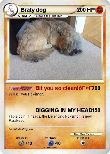 Pokemon Braty dog