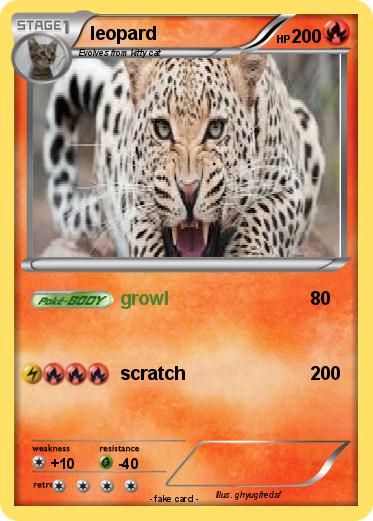 Pokemon leopard