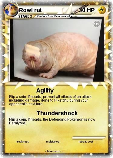 Pokemon Rowl rat